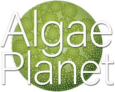 algaeplanet.com