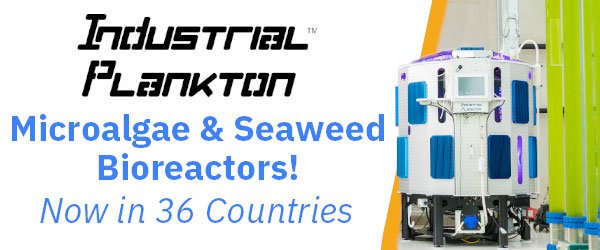 Industrial Plankton